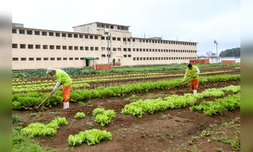 Governo vai investir R$ 14 milhões em reforma de prisões