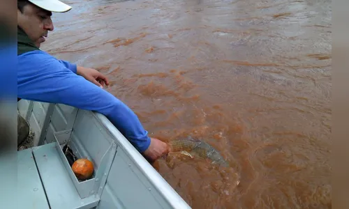 Pesca de espécies nativas está liberada a partir deste sábado