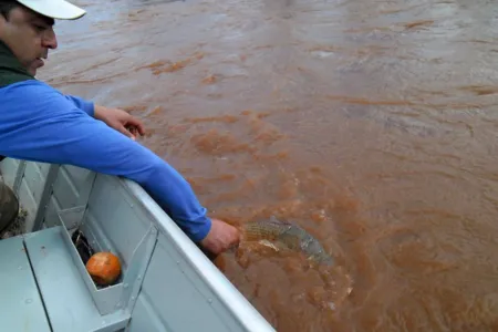 Pesca de espécies nativas está liberada a partir deste sábado