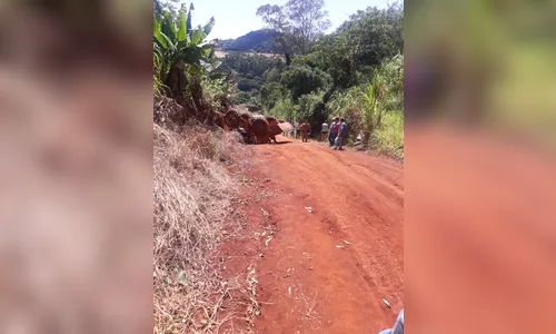Acidente na zona rural de Marilândia do Sul provoca a morte de uma pessoa