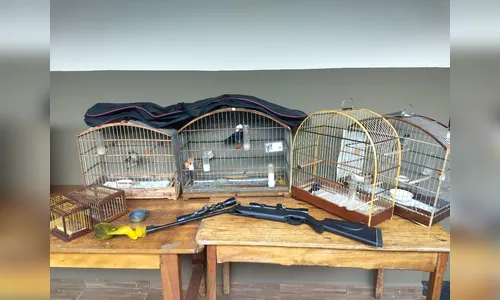 Polícia Ambiental aprende carabina adaptada em Ivaiporã