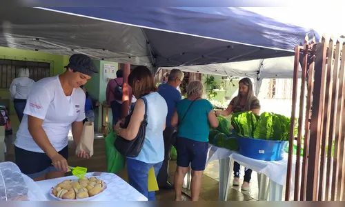 Apucarana tem todos os dias feiras da economia solidária