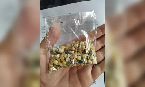 Polícia Civil de Apucarana apreende mais de 100 pedras de crack