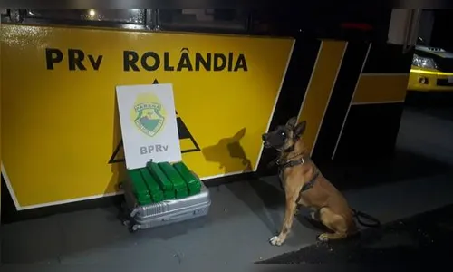 PRE apreende quase 14 kg de maconha em ônibus