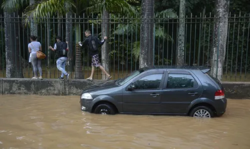 Evitar leptospirose exige cuidados redobrados em época de enchentes