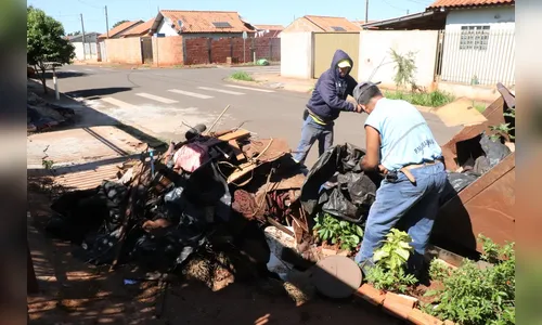 Arapongas tem 45 casos de dengue; prefeitura determina 15 dias para limpeza de terrenos