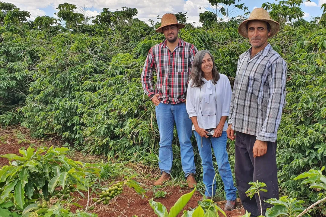 Lodo de esgoto beneficia pequenos agricultores no Paraná