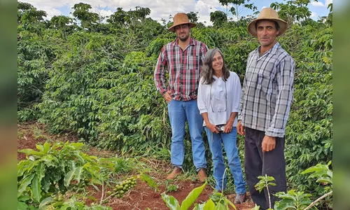 Lodo de esgoto beneficia pequenos agricultores no Paraná