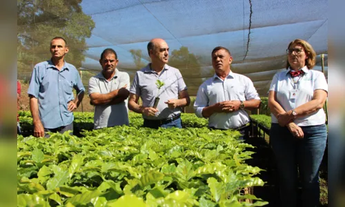 
							Programa de incentivo distribui 137 mil mudas de café em Ivaiporã
						
						
