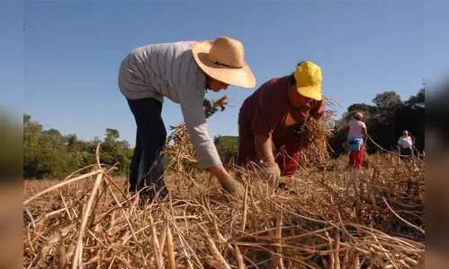 Paraná e governo federal planejam políticas conjuntas para as mulheres