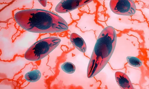 SUS oferecerá a recém-nascidos exame para toxoplasmose