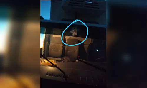 Caminhão do assentamento Dorcelina Folador sofre ataque a tiros em Arapongas
