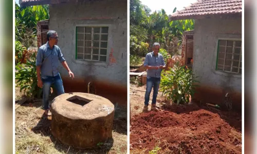 
							Como cidades do Paraná estão usando peixes para combater o mosquito da dengue e sair da epidemia
						
						
