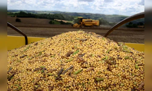 VBP agropecuário do Paraná de 2019 pode atingir R$ 93 bilhões