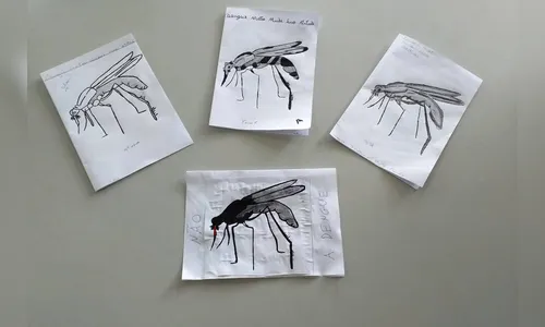 Escolas do Paraná realizam ações de combate à dengue