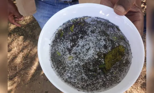 Governo reforça apoio aos municípios para combate à dengue