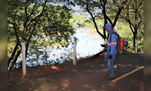 Prefeitura realiza limpeza no Parque dos Pássaros, em Arapongas