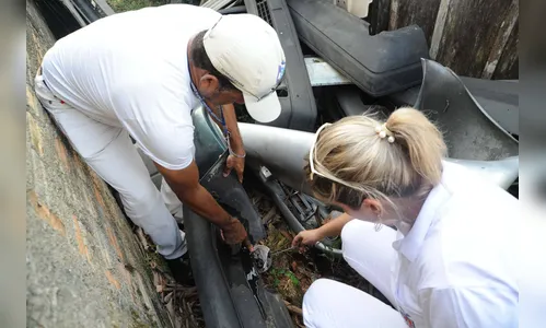 Estado terá mobilização contra a dengue com participação do Exército