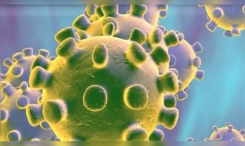 Segunda morte por coronavírus no Brasil está em análise 