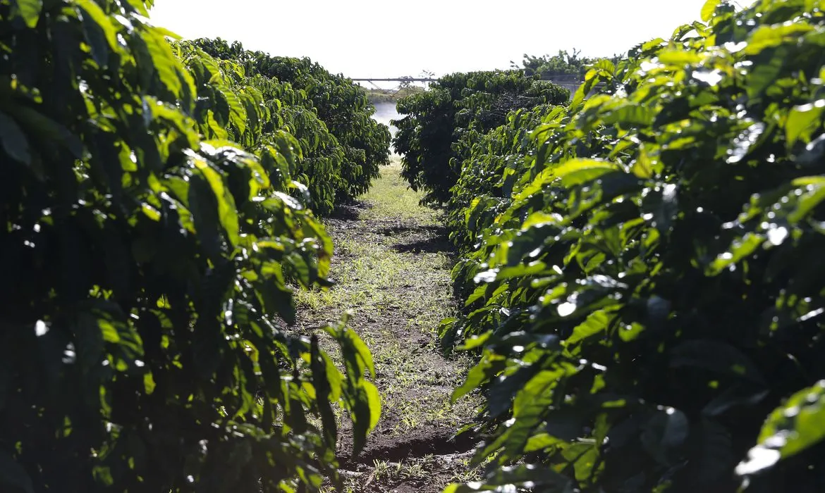 Governo e agricultores garantem produção de alimentos durante pandemia