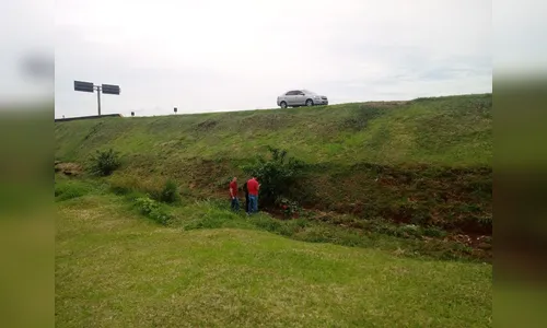 Corpo com sinais de violência é encontrado em Mandaguari