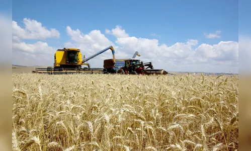 Agronegócio é responsável por 33,9% do PIB paranaense