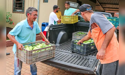 Programa Terra Forte beneficia entidades de Apucarana