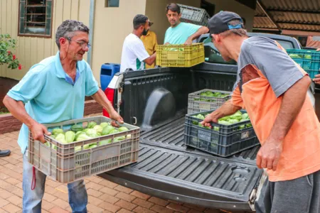 Programa Terra Forte beneficia entidades de Apucarana