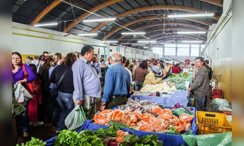 Feira do Produtor de sábado será em local aberto em Apucarana