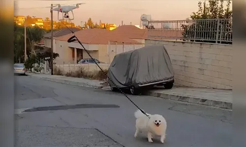 Homem utiliza drone para passear com cachorro durante quarentena; assista