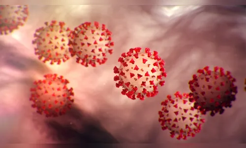 Coronavírus: Estados Unidos chegam a 50 mil mortos e 884 mil contaminados