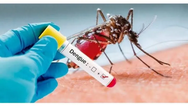 Secretário de Vigilância em Saúde pede a população atenção também com a dengue