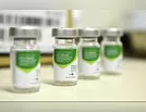 Maringá adia início da campanha de vacinação contra gripe para idosos