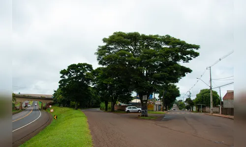 Vila Reis busca expansão comercial e industrial; veja vídeo 