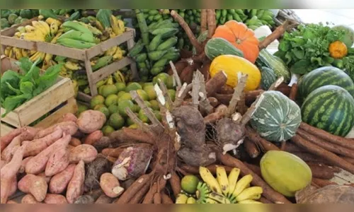 Lunardelli discute iniciativa para ajudar pequenos produtores a vencerem o momento de crise