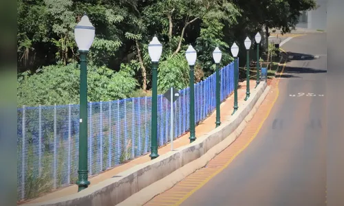 Rua Pavão recebe instalação de postes republicanos