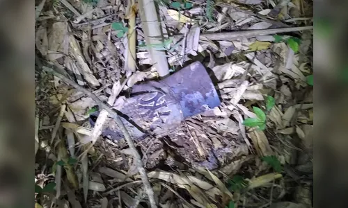 Ossada humana é encontrada em Mauá da Serra