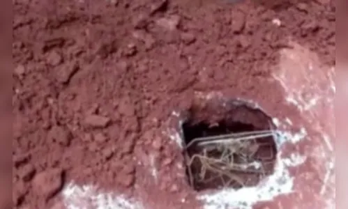 Presos tentam fugir da cadeia de Rio Bom