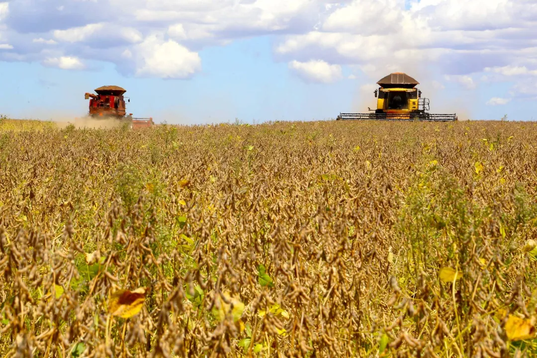 Paraná deverá produzir 41,2 milhões de toneladas de grãos