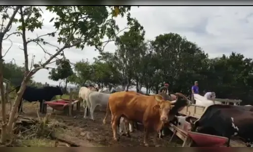 Pecuarista oferece carne a preço de custo para ajudar população na crise do coronavírus; assista