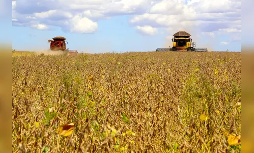 Paraná deverá produzir 41,2 milhões de toneladas de grãos