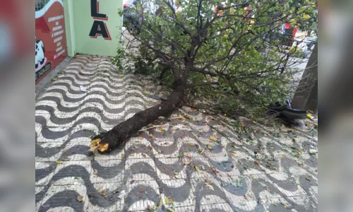 
							Motociclista sofre ferimentos após acidente em Apucarana
						
						