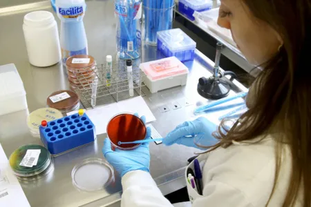 Laboratório ampliou em 400% o volume de testes para a Covid-19 e está recebendo mais profissionais. (Foto: AEN)