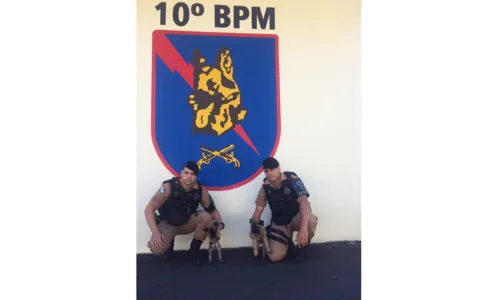 
							Canil do 10º BPM de Apucarana recebe novos cães
						
						