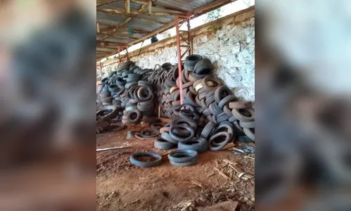 Lunardelli realiza descarte consciente de 1.500 pneus velhos