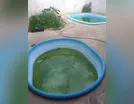 Faxinal multa proprietários de imóveis com focos de dengue