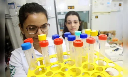 Universidades estaduais intensificam pesquisas sobre o coronavírus