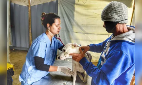 Mutirão de castração e animais vai passar por quatro municípios da região