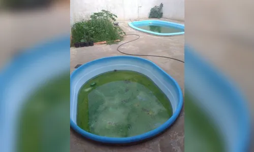 Faxinal multa proprietários de imóveis com focos de dengue