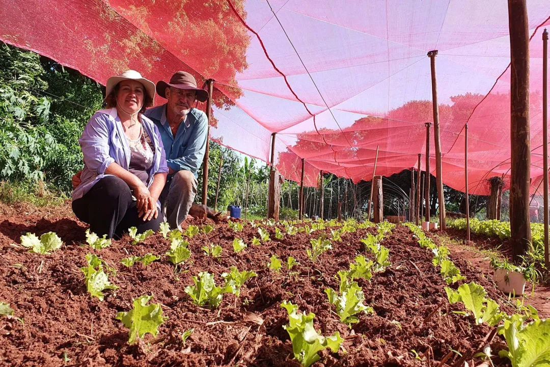 Investimento qualificado gera frutos para agricultores familiares